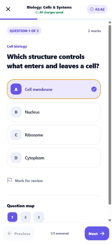 Active ExamNova Companion attempt