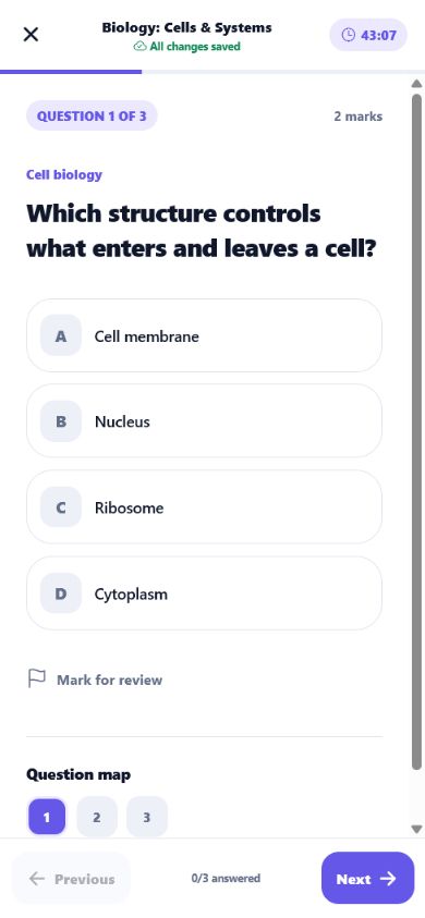Active attempt before an answer is selected